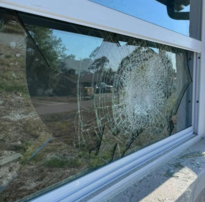 window-replacement-service